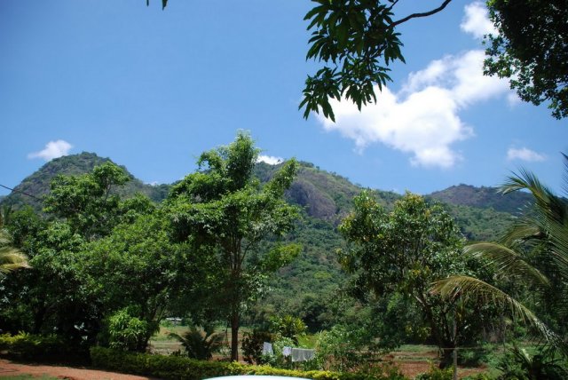 Nature